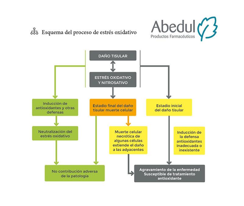 superóxido dismutasa en el tratamiento del vitíligo